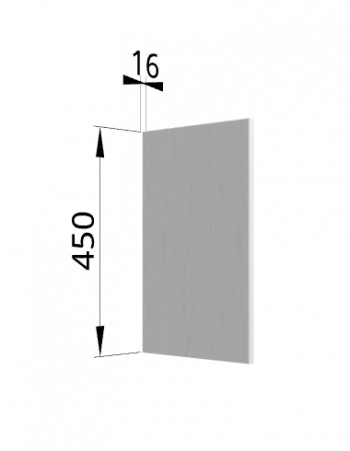 Панель торцевая (для шкафа горизонтального высокого) ВПГ Ройс (Графит софт) в Легостаево - legostaevo.mebel54.com | фото